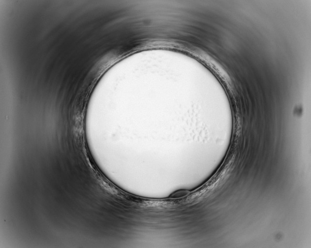 X0000103460953200810101147