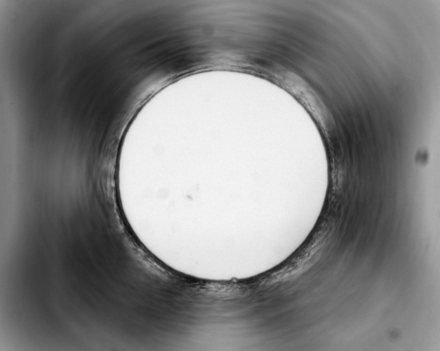 X0000103460954200810101147