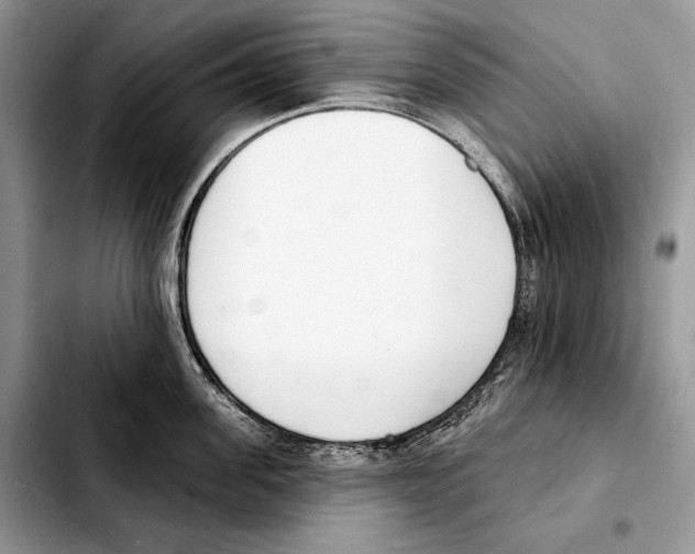 X0000103460955200810101147