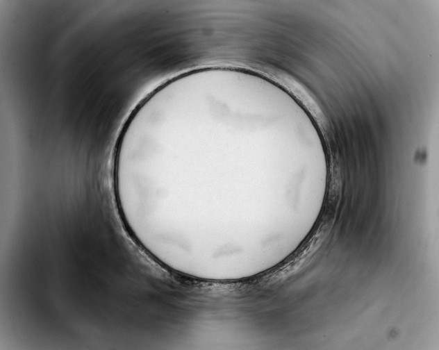X0000103460958200810101147