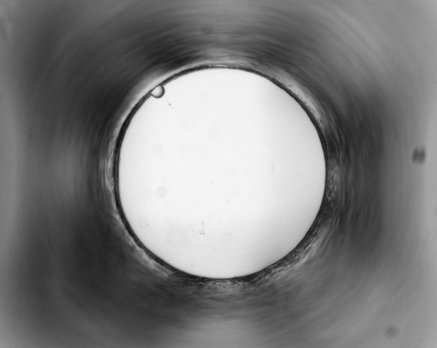 X0000103460959200810101147