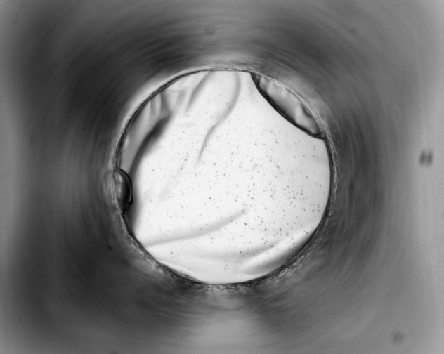 X0000103460960200810101147