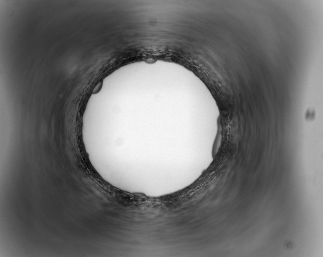 X0000103460961200810101146