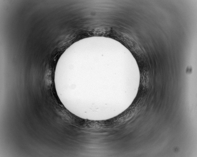 X0000103460962200810101146