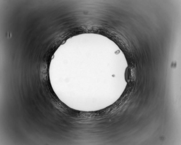 X0000103460963200810101146