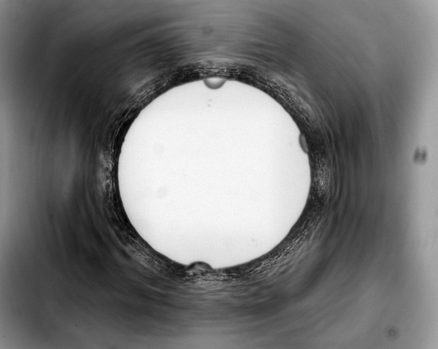 X0000103460964200810101146