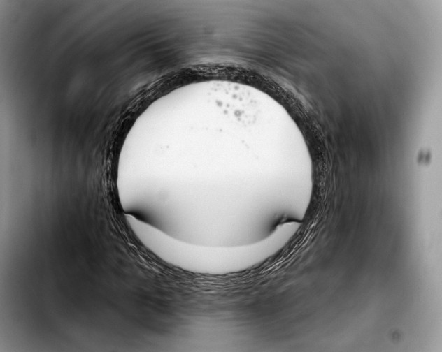 X0000103460965200810101146