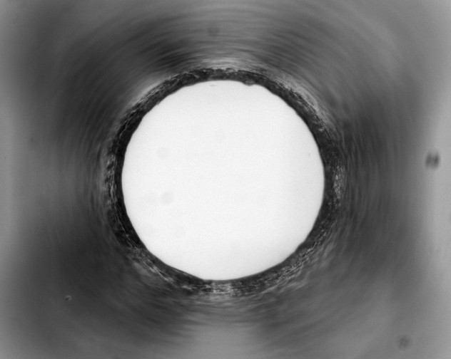 X0000103460968200810101146