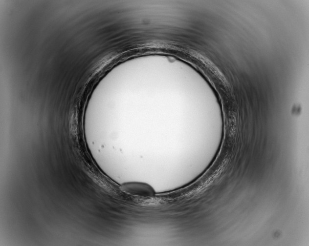 X0000103460969200810101146