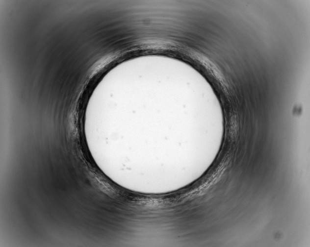 X0000103460970200810101146