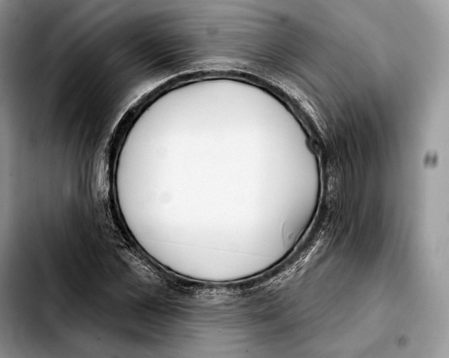X0000103460973200810101146