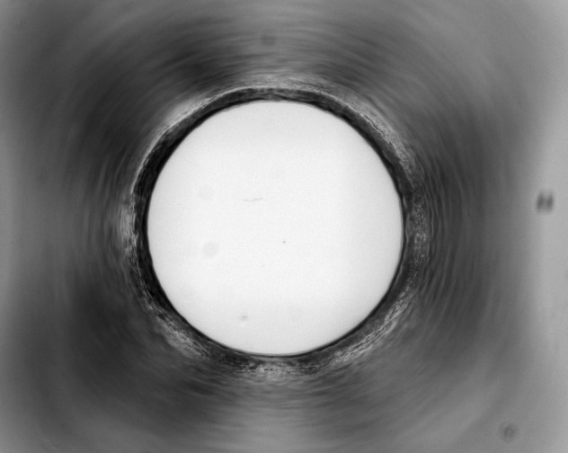 X0000103460974200810101146