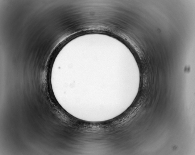 X0000103460975200810101146