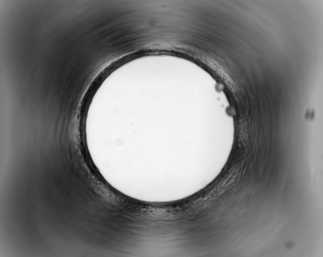 X0000103460976200810101146