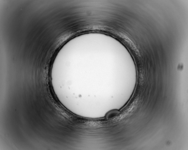 X0000103460977200810101146
