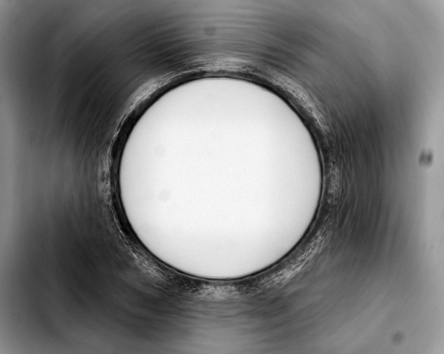 X0000103460978200810101146