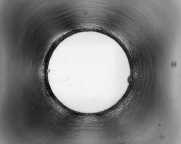 X0000103460979200810101146