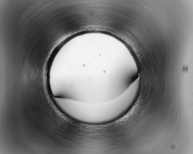 X0000103460981200810101146