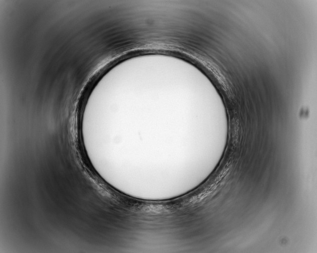 X0000103460982200810101146