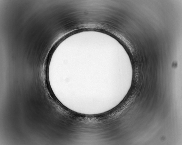 X0000103460983200810101146