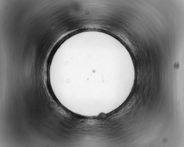 X0000103460984200810101146