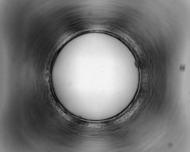 X0000103460985200810101146