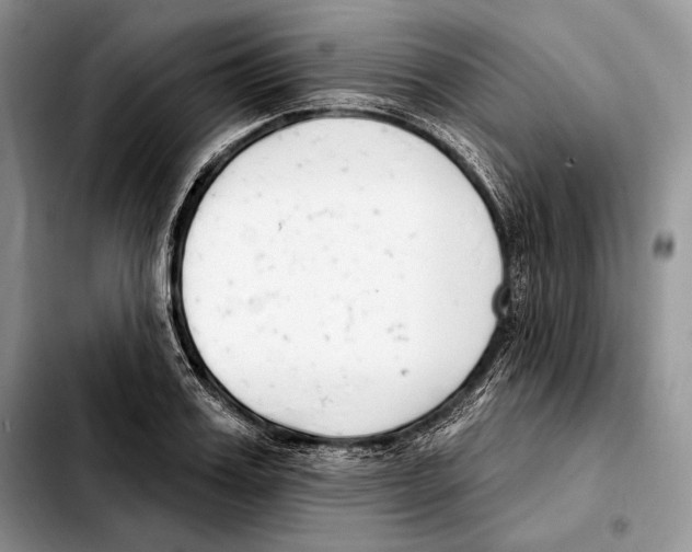 X0000103460987200810101146
