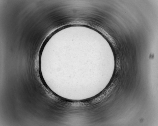 X0000103460988200810101146