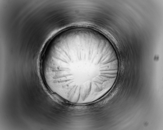 X0000103460989200810101146