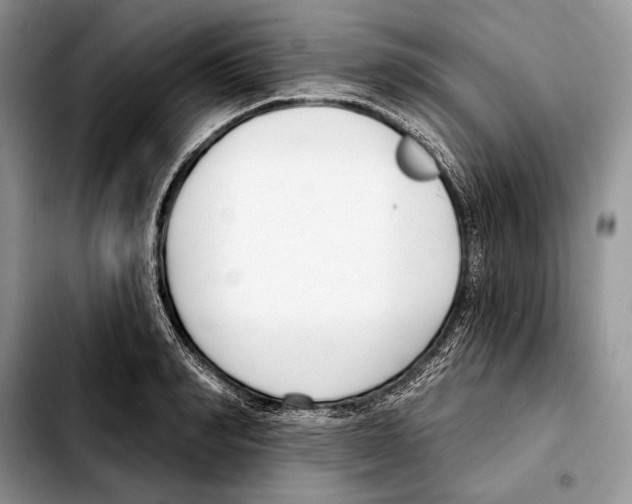X0000103460990200810101146