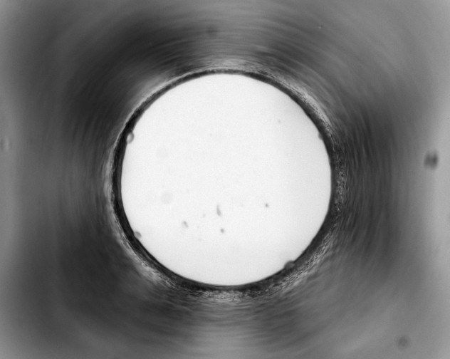 X0000103460991200810101146