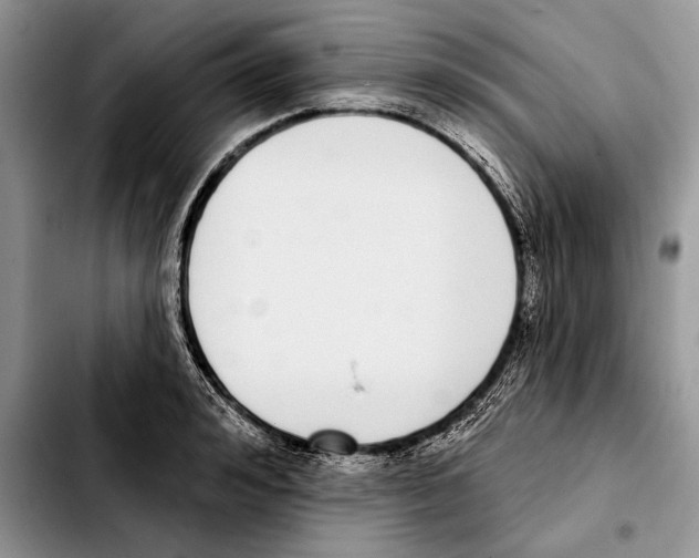 X0000103460992200810101146