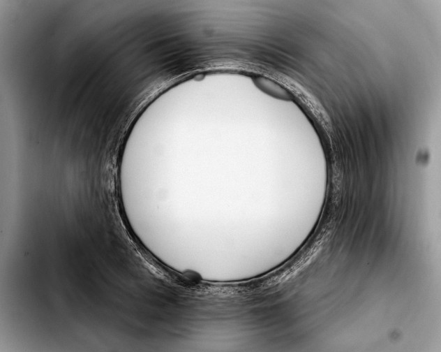 X0000103460993200810101146