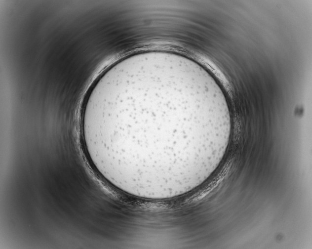 X0000103460994200810101146