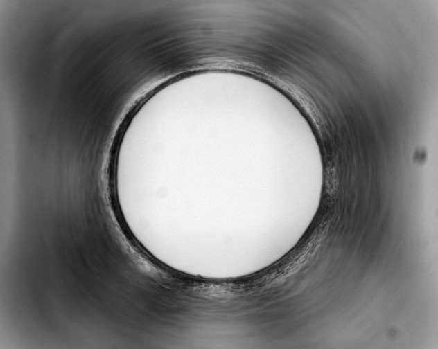 X0000103460995200810101146
