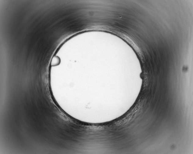 X0000103460996200810101146
