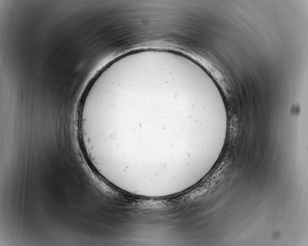 X0000103460998200810101146