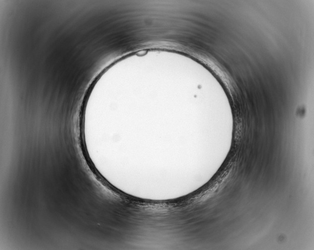 X0000103460999200810101146