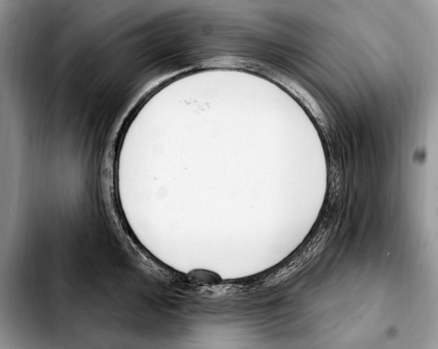 X0000103461000200810101146