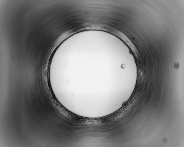 X0000103461002200810101146