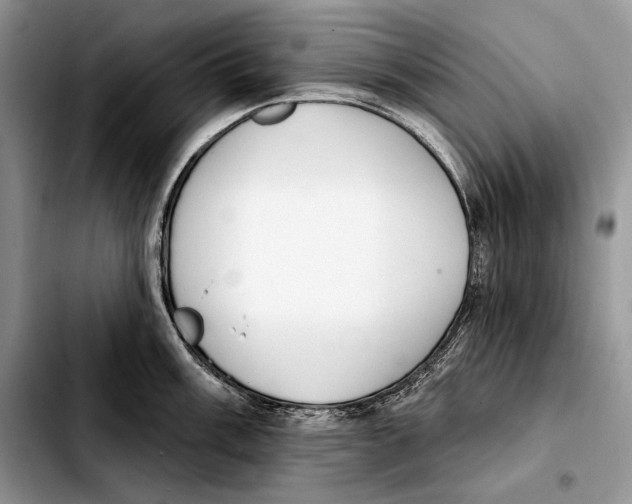 X0000103461003200810101146