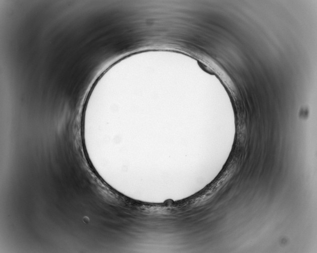 X0000103461004200810101146