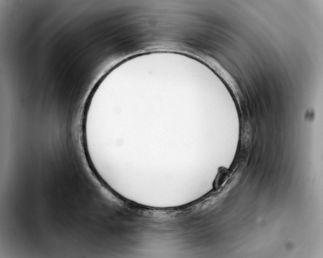 X0000103461005200810101146