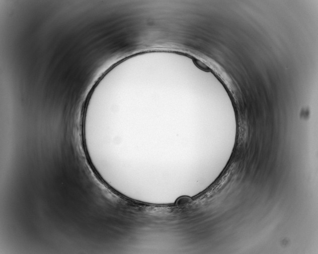 X0000103461006200810101146
