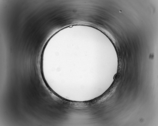 X0000103461007200810101146