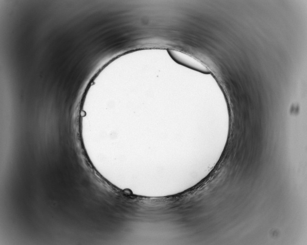 X0000103461008200810101146