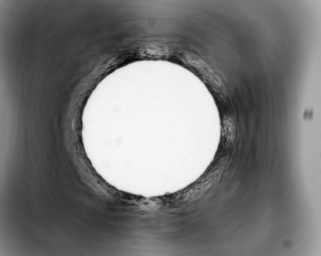 X0000103461009200810101145