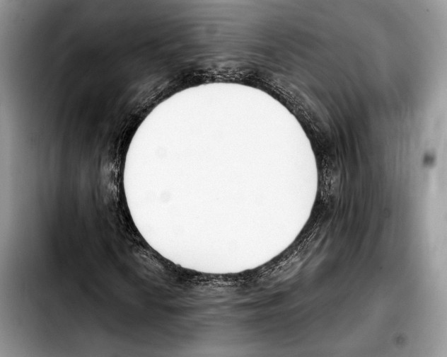 X0000103461010200810101145