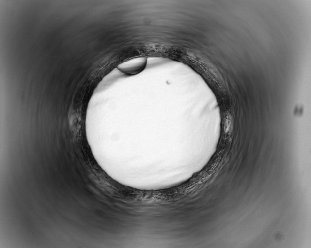 X0000103461011200810101145