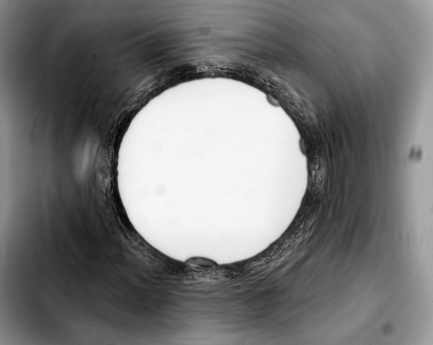 X0000103461012200810101145